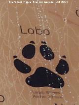 Lobo Ibérico - Canis lupus signatus. Huella