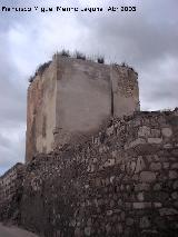 Castillo de Baena. Torren izquierdo