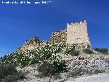 Castillo de Tabernas. 