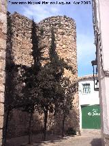 Castillo de Doa Menca. Torren circular esquinero