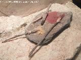Pinturas rupestres de la Cueva de los Murcilagos. Reproduccin de los instrumentos de realizacin en el Ecomuseo