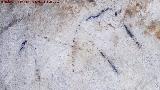 Pinturas rupestres de la Cueva de los Murcilagos. Restos y oculado