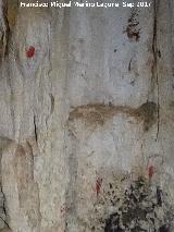 Pinturas rupestres de la Cueva de los Murcilagos. 