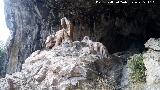 Cueva del Fraile. Estalagmita del Fraile
