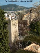 Muralla de Granada. Desde el Palacio Dar Al-Horra
