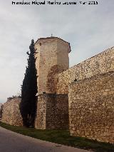 Castillo del Moral. 