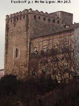 Castillo de los Condes de Cabra. 
