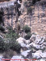 Cascada del Ro Castril. 