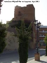Muralla. Torre del Ferro. 