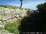 Poblado Ibero-Romano de Hiponova. Muralla y torren
