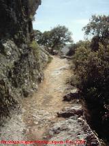 Poblado visigodo de El Castelln. Camino tallado en la roca