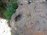 Necrpolis megaltica de Pea de los Gitanos. Cazoleta del Abrigo de la Colmena