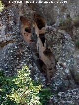 Cueva de Meye