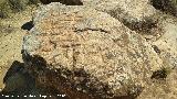 Petroglifos de Alicn de las Torres. 