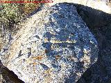 Petroglifos de Alicn de las Torres. Piedra III