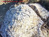 Petroglifos de Alicn de las Torres. Piedra con antropomorfos y smbolos