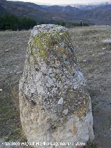 Piedra de Molino rabe. 