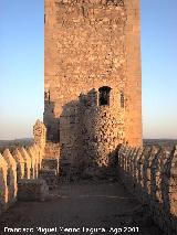 Castillo de Almansa. 