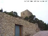 Castillo de Lorca. Aljibe del Espaldón. 