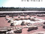 Yacimiento arqueolgico de La Alcudia. Vivienda romana de Ilici