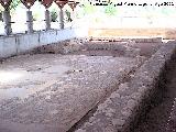 Yacimiento arqueolgico de La Alcudia. Baslica paleocristiana del S. V con mosaicos