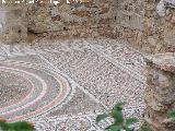Villa romana del Palmeral. Mosaico