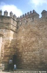 Castillo de San Marcos. 