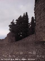 Muralla. Continuacin de la muralla desde el Torren del Cementerio