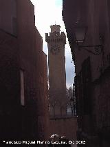 Torre de Mangana. 