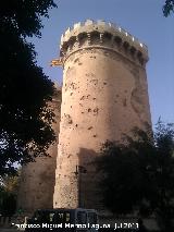 Torres de Quart. Torre