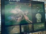 Segbriga. Cartel en Calatrava la Vieja