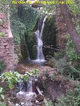 Cascada de Gil de Torres. 