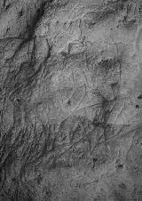 Petroglifos rupestres de la Cueva de los Casares. Cpula