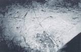 Petroglifos rupestres de la Cueva de los Casares. Glotn