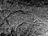 Petroglifos rupestres de la Cueva de los Casares. Cabeza del glotn