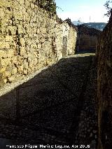 Convento de las Trinitarias. Muros