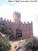 Castillo de Riba de Santiuste. Puerta de acceso