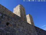 Castillo de Alcaudete. Antemuro y torres de la puerta