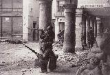 Historia de Teruel. 24 de Diciembre de 1937. Tropas republicanas combatiendo en el centro de la ciudad