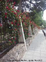 Parque del Seminario. Valla de rosales