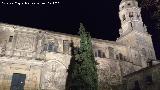 Catedral de Baeza. De noche