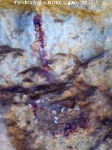 Pinturas rupestres de la Cueva del Hornillo de la Solana. Pinturas inditas