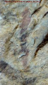 Pinturas rupestres de la Cueva del Hornillo de la Solana. Barra vertical