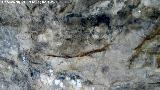 Pinturas rupestres de la Cueva del Hornillo de la Solana. Pinturas negras inferiores
