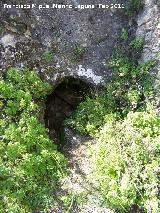 Cueva Poterna. 