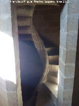 Catedral de Baeza. Torre. Escalera de caracol