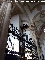 Catedral de Baeza. Interior. Rejas y balcón alto de la torre