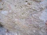 Pinturas rupestres de la Caada de la Corcuela. Manchas bajas desvadas