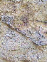 Pinturas rupestres de la Caada de la Corcuela. Lneas finas de color rojo
