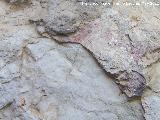 Pinturas rupestres de la Caada de la Corcuela. Manchas bajas desvadas de color rojo